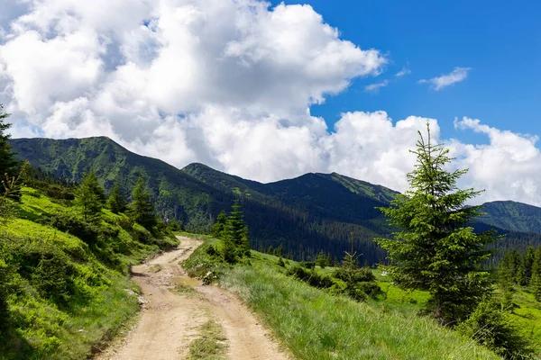 A road in the mountains that runs along the slope among meadows and forest against the background of mountain ranges, blue sky and white clouds. The unique nature and landscape of the Carpathians.