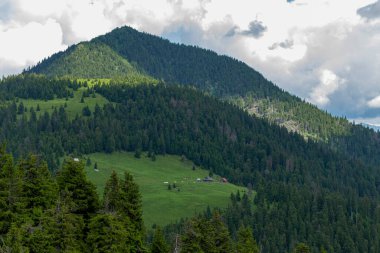 Magical summer dawn in the Carpathian mountains. Region Maramures Mountains, Mount Pip Ivan, Ukraine. Vibrant photo wallpaper.