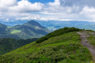 Magical summer dawn in the Carpathian mountains. Region Maramures Mountains, Mount Pip Ivan, Ukraine. Vibrant photo wallpaper.