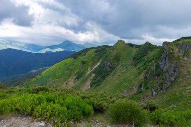 Magical summer dawn in the Carpathian mountains. Region Maramures Mountains, Mount Pip Ivan, Ukraine. Vibrant photo wallpaper.