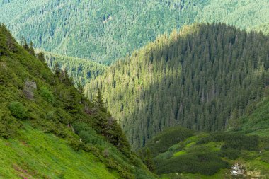 Magical summer dawn in the Carpathian mountains. Region Maramures Mountains, Mount Pip Ivan, Ukraine. Vibrant photo wallpaper.