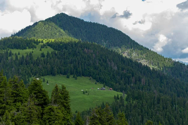 Magical summer dawn in the Carpathian mountains. Region Maramures Mountains, Mount Pip Ivan, Ukraine. Vibrant photo wallpaper.