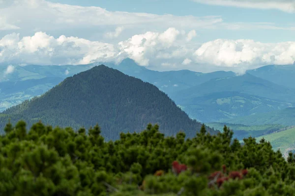 Magical summer dawn in the Carpathian mountains. Region Maramures Mountains, Mount Pip Ivan, Ukraine. Vibrant photo wallpaper.