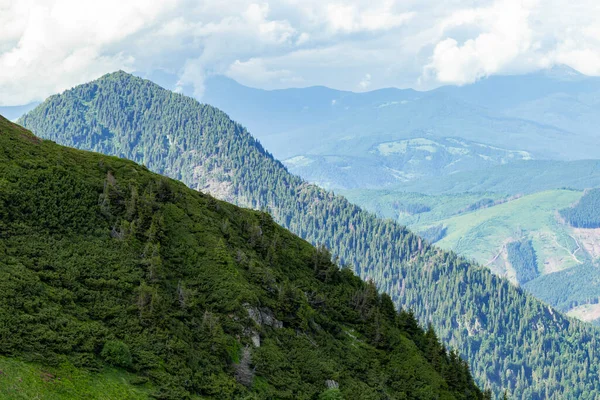 Magical Summer Dawn Carpathian Mountains Region Maramures Mountains Mount Pip — Stockfoto