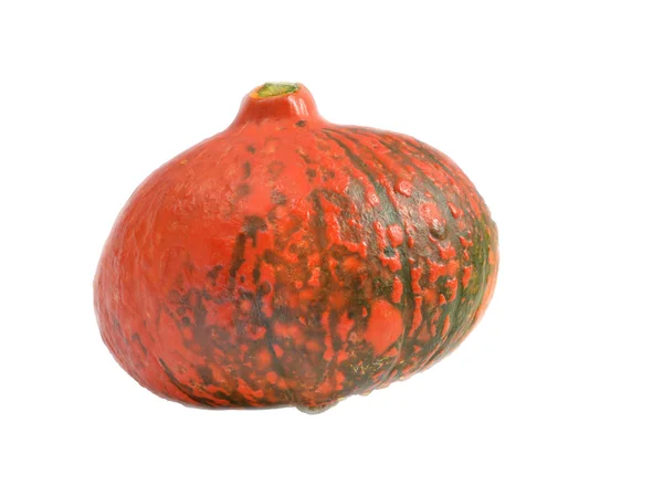 Calabaza naranja — Foto de Stock