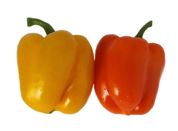 Two pepper — Stock Photo, Image