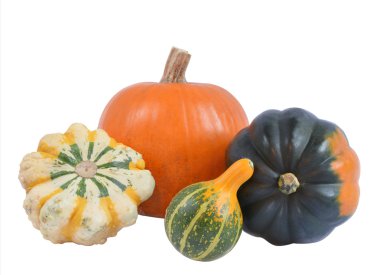 dört dekoratif kabaklar