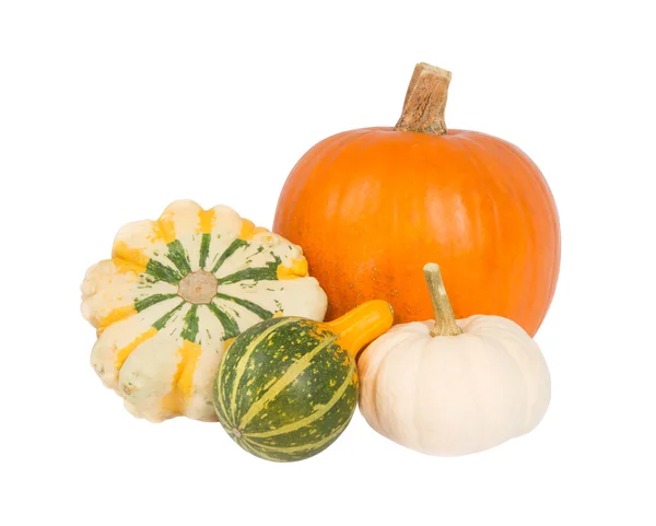 Four different pumpkins — Stock Photo, Image
