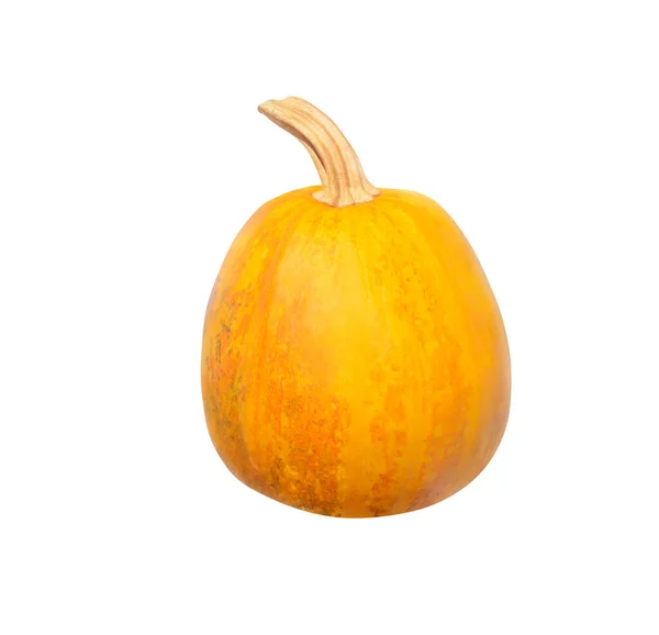 Calabaza redonda de color amarillo-naranja con un pequeño tallo, aislada en blanco — Foto de Stock