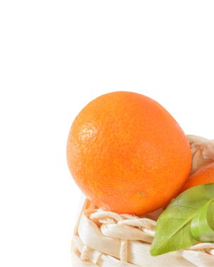 Beyaz bir sepetin içinde küçük bir Mandarin.