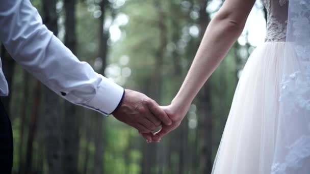 Noiva Noivo Amorosamente Tomam Outro Nas Mãos Uma Floresta Pinheiro — Vídeo de Stock