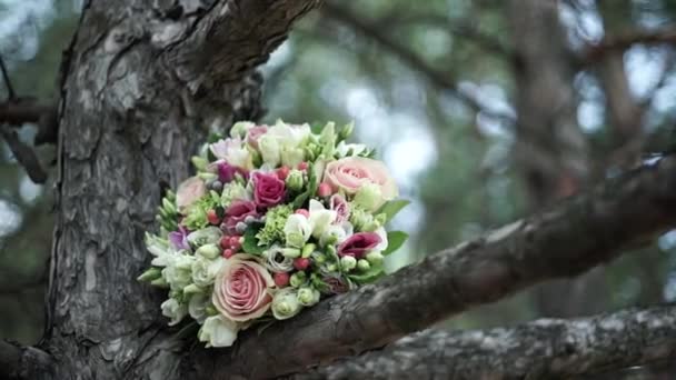 Close Beautiful Rose Wedding Bouquet Lies Tree Woods Blurry Forest — Wideo stockowe