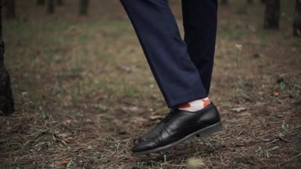 Klasik Siyah Deri Erkek Ayakkabıları Komik Turuncu Ayı Çoraplarıyla Bir — Stok video