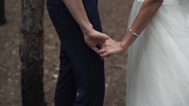 Bride Groom Lovingly Take Each Other Hands Pine Forest Love — Stock Video