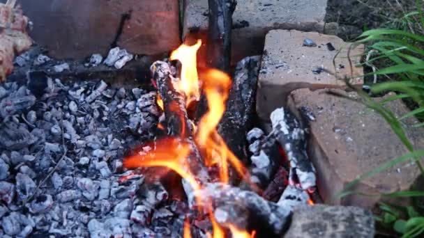 Close Burning Coals Barbecue Grill Firewood Charcoal Closeup Fireplace — Stok video