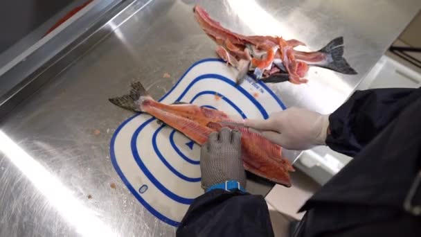 Close Hands Fish Factory Worker Wearing Protective Gloves Workwear Who — Stock Video