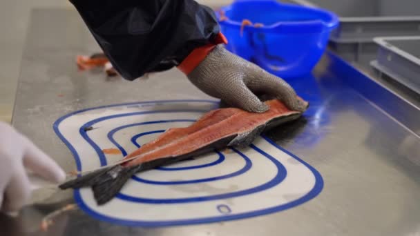 Zbliżenie Rąk Pracownika Fabryki Ryb Noszącego Rękawice Ochronne Odzież Roboczą — Wideo stockowe