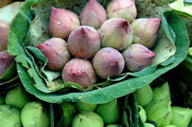 Bangkok, Tayland: pak khlong talad çiçek pazarında lotus Çiçek demetleri