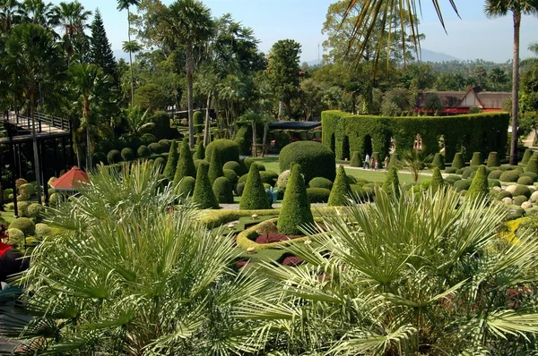Pattaya, thailand: formklippta trädgården på nong nooch tropiska trädgårdar — Stockfoto