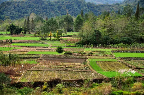 Província de Sichuan, China: Terras agrícolas no vale do rio Jianjiang — Fotografia de Stock