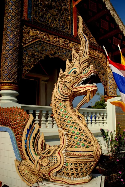 Чианг Озил, Таиланд: Нага Драгон в Ват Пхра Сингх — стоковое фото