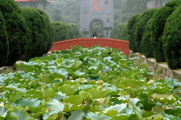 成都、中国: 蓮の池と四川大学橋 — ストック写真