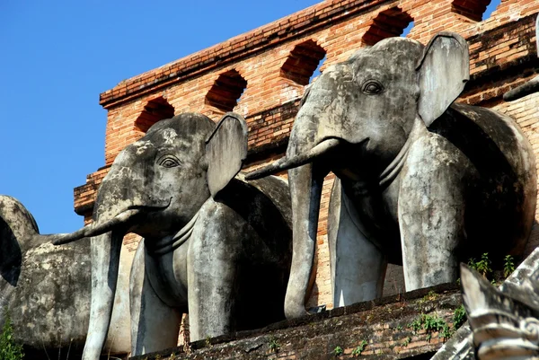 Chiang mai, thailand: elefant statyer på wat chedi luang — Stockfoto