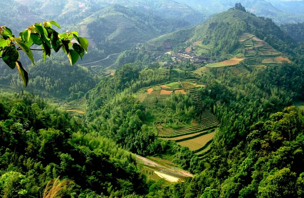 Longsheng, Chine : rizières en terrasses — Photo