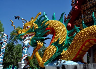 Kanchanaburi, Tayland: wat tham mungkornthong dragons