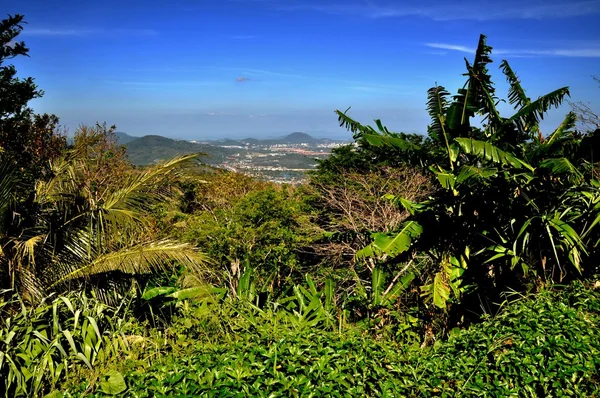 Phuket, Thailand: Tropical Vegetation on Big Buddha Hill — Stock Photo, Image
