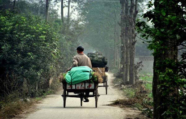 Китай: Фермеры ездят на велосипедах по сельской дороге
