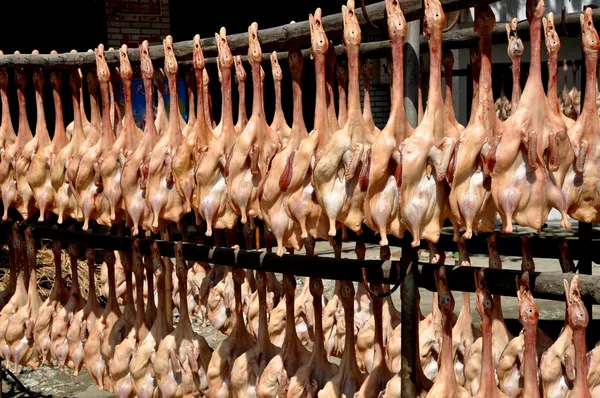 China: Dried Pressed Ducks in Jiu Chi Town — Stock Photo, Image