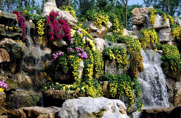 China: Chrystanthemum Display in Qingbaijiang's Phoenix Lake Park — Stock Photo, Image