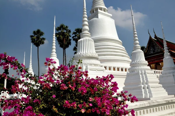 Ayutthaya, Thailandia: Wat Suwan Dararam White Chedis — Foto Stock