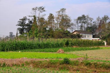 Çin: sichuan çiftlik evi ve bitkileri alanları