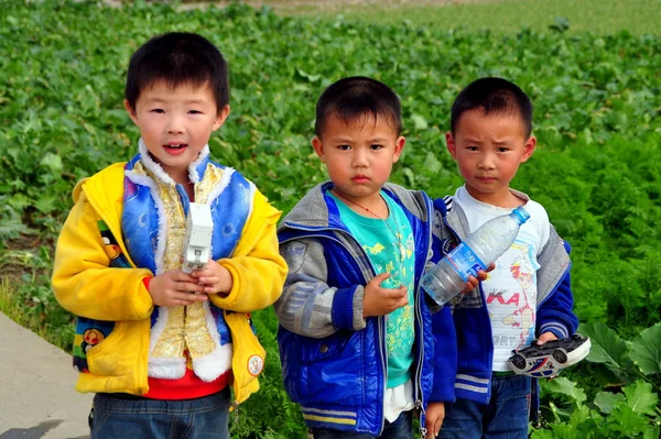 Čína: tři malí kluci na farmě provincie sichuan — Stock fotografie