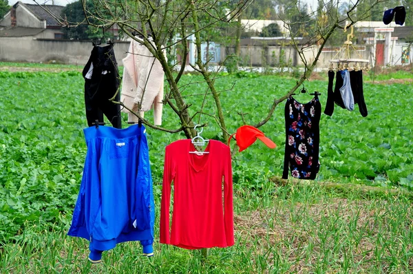 China: Laundry Drying on a Tree at a Sichuan Farm — Stock Photo, Image