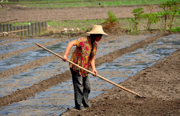 China: Mulher trabalhando em campo com ancinho — Fotografia de Stock