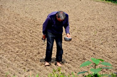 Çin: alanında çalışan yalınayak çiftçi
