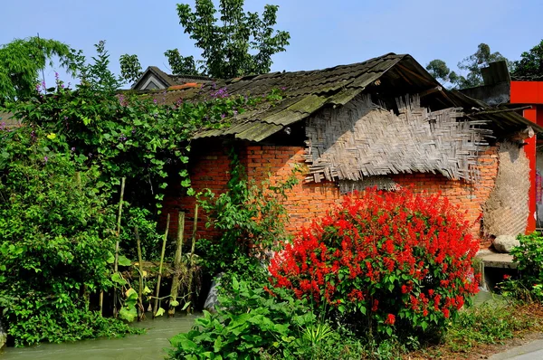 中国の赤いサルビアの花とれんが造りの古い納屋 — ストック写真