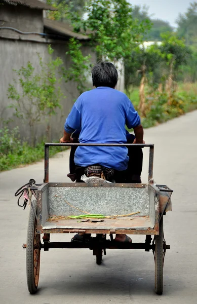 China: Mulher idosa montando seu carrinho de bicicleta em uma estrada do país — Fotografia de Stock