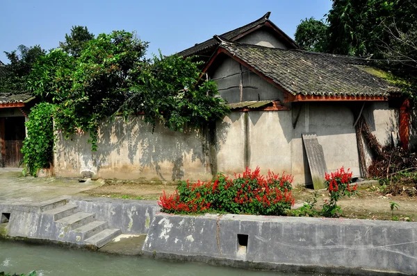 China: Edifícios agrícolas e flores de Salvia — Fotografia de Stock