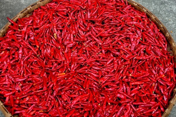 China: Korb mit getrockneten roten Chilischoten — Stockfoto