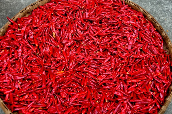 Chine : Panier de piments rouges séchés — Photo