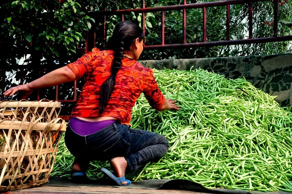 Chine : Femme dans un camion avec haricots verts — Photo