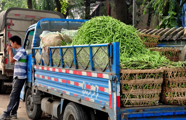 China: Farmer with Truck Filled with Green Beans — Stock Photo, Image