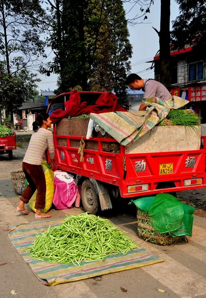 Pengzhou, China: Los agricultores cargan bolsas de judías verdes —  Fotos de Stock