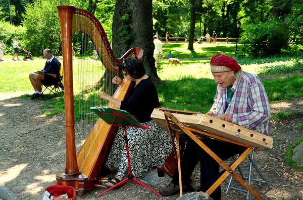 Нью-Йорк: два музиканти в центральному парку — стокове фото