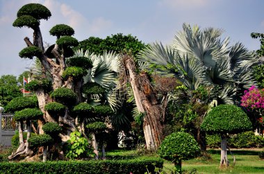 Samut prakan, Tayland: wat asoke bahçeleri