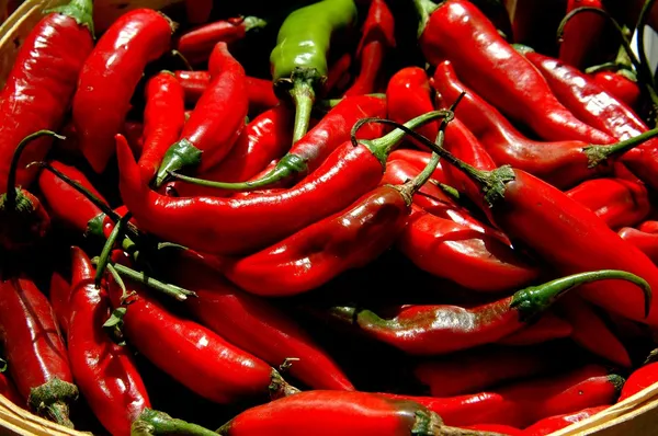NYC: Display of Red Chili Peppers — Stock Photo, Image